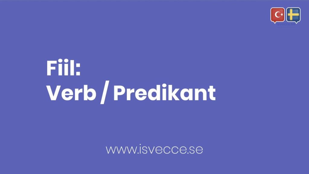 fiil verb predikant