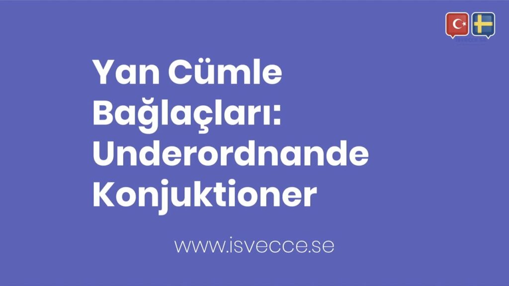 yan cumle baglaclari