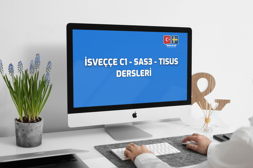 isvecce c1 sas tisus dersleri