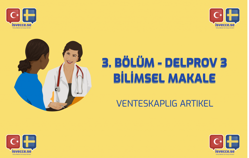 bilimsel makale vetenskaplig artikel del prov 3