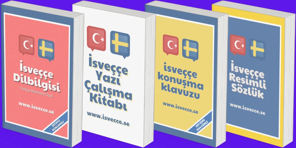 isveççe kitap