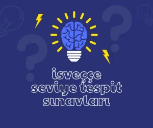 isveççe seviye tespit sınavları